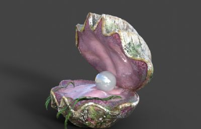 蚌壳珍珠,海蚌,海底生物