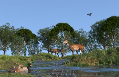 湿地动员梅花鹿,鸳鸯,水草植物场景