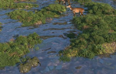 湿地动员梅花鹿,鸳鸯,水草植物场景