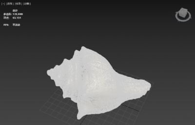 贝壳,海螺3D扫描模型