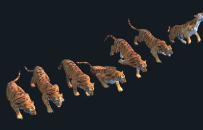 老虎猛兽,带各种动作动画