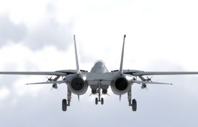 F14A战斗机,8套涂装