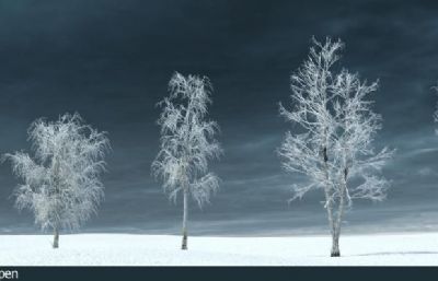 冬季森林树木,雪景下的大树3dmax模型组合