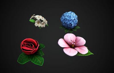 玫瑰,茉莉,霍滕西亚木槿
