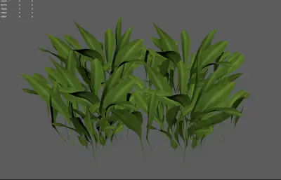 小草 草地植物花卉