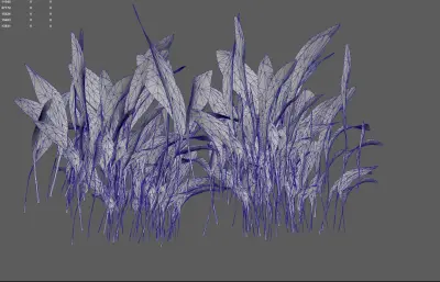 小草 草地植物花卉