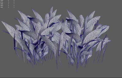 小草 草地植物花卉