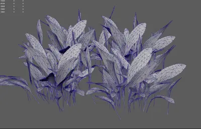 小草 草地植物花卉