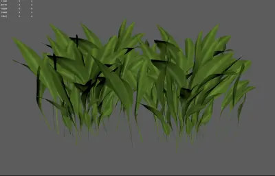 小草 草地植物花卉