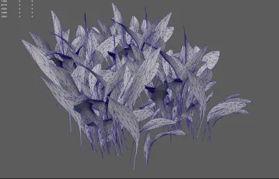 小草 草地植物花卉