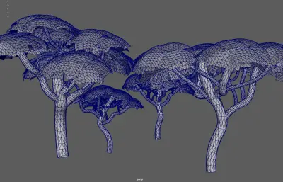 參天大樹集合塌陷模型