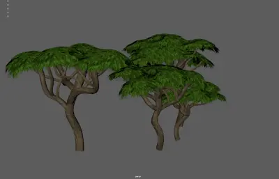 參天大樹集合塌陷模型