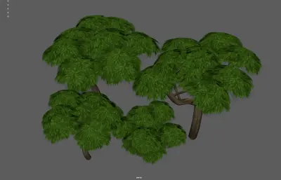 參天大樹集合塌陷模型