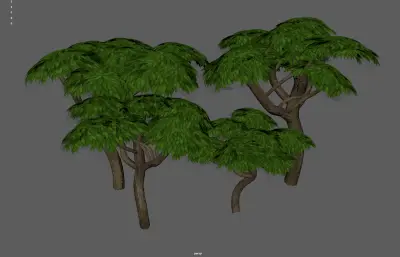 參天大樹集合塌陷模型