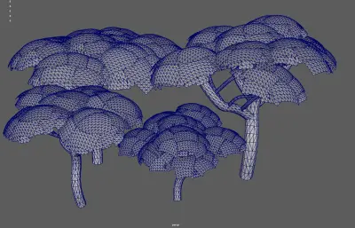 參天大樹集合塌陷模型