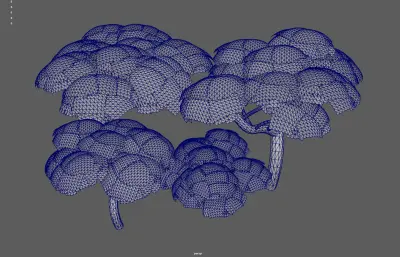 參天大樹集合塌陷模型