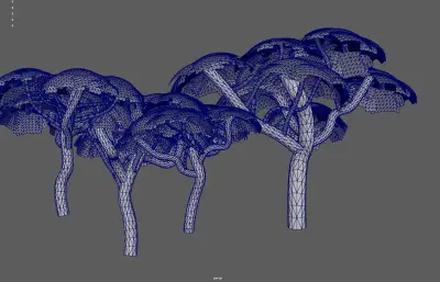參天大樹集合塌陷模型