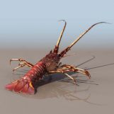 3D龙虾模型(含高清材质)