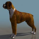 3D狗模型(带材质)