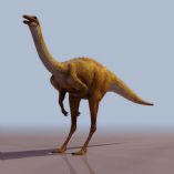 恐龙3D模型