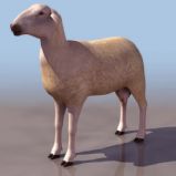高精度羊3D模型
