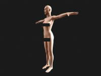 高精度女人体3D模型