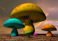 可爱蘑菇3D模型