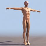 男人体3D模型