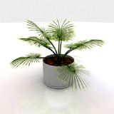 3D植物盆栽模型