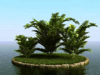 高精细槟榔树3D模型