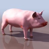 3D猪pig模型(低模)