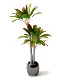 3D植物盆栽树模型