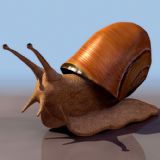 蜗牛3D模型