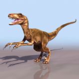 迅猛龙,恐龙3D模型