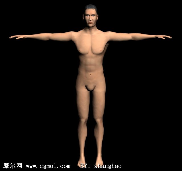 男人 男人体 人体3d模型 基础人体 动画角色 3d模型下载 3d模型网 Maya模型免费下载 摩尔网