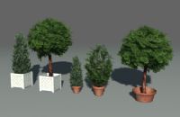 5款植物盆栽3D模型
