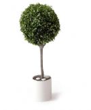 绿化球形树木盆栽3D模型