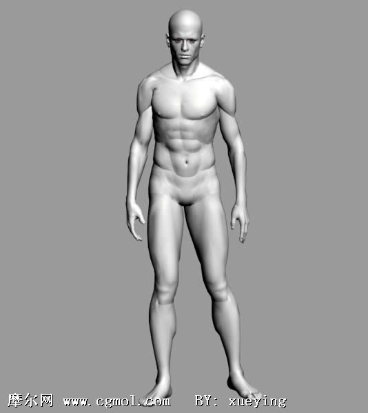 男人男人体3d模型 现实角色 动画角色 3d模型下载 3d模型网 Maya模型免费下载 摩尔网