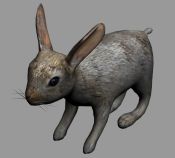 兔子3D模型