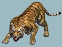 《真三国无双5》里面的山林老虎3D模型