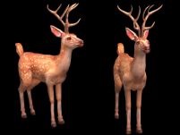 《传奇》新手村的小鹿,3D游戏角色模型