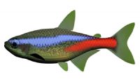 霓虹脂鲤(鱼)3D模型