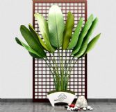 美人蕉室内植物装饰3D模型