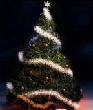 漂亮的圣诞树3D模型