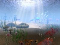 漂亮的海底世界maya场景模型(有海星,海胆,海草,海螺)