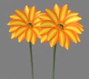 两朵小黄花,花朵,maya模型