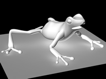 青蛙,树蛙3D模型