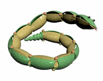 小青蛇,儿童3D玩具模型