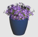 开紫色小花的绿色植物盆栽3D模型