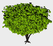 绿色大树3d模型